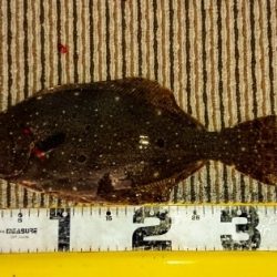 火遠理丸（ほおりまる） 釣果