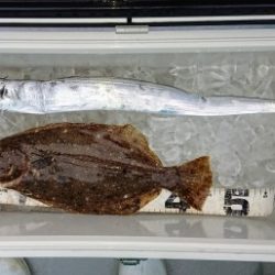 火遠理丸（ほおりまる） 釣果