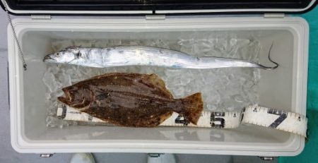 火遠理丸（ほおりまる） 釣果