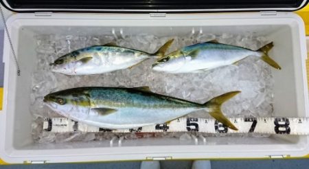 火遠理丸（ほおりまる） 釣果