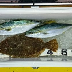 火遠理丸(ほおりまる) 釣果