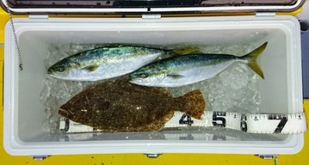 火遠理丸(ほおりまる) 釣果