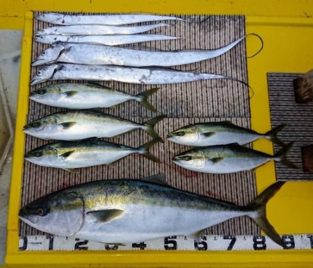 火遠理丸(ほおりまる) 釣果