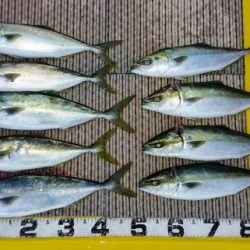 火遠理丸(ほおりまる) 釣果