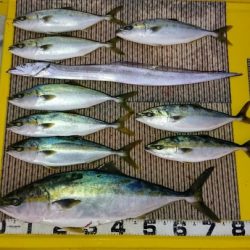 火遠理丸(ほおりまる) 釣果