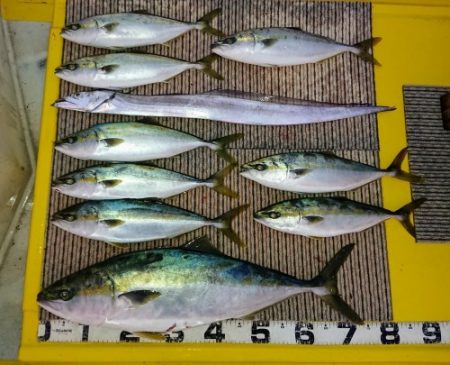 火遠理丸(ほおりまる) 釣果