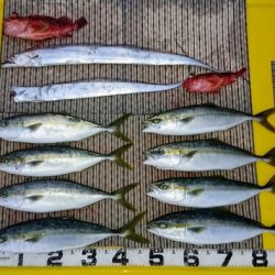 火遠理丸(ほおりまる) 釣果