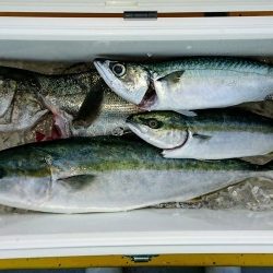 火遠理丸(ほおりまる) 釣果