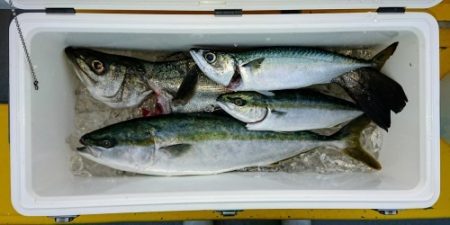 火遠理丸（ほおりまる） 釣果