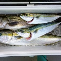 火遠理丸(ほおりまる) 釣果