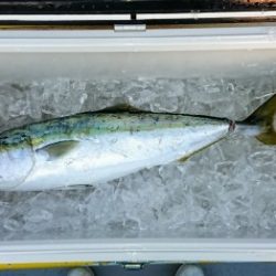 火遠理丸(ほおりまる) 釣果