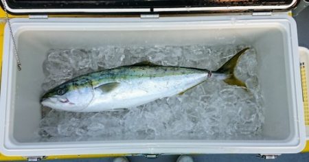 火遠理丸(ほおりまる) 釣果