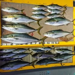 火遠理丸（ほおりまる） 釣果