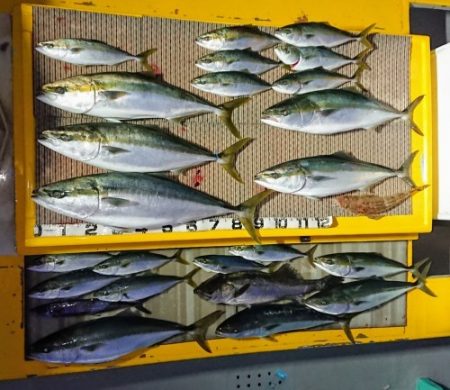 火遠理丸（ほおりまる） 釣果