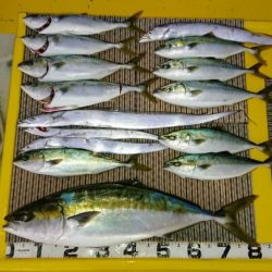 火遠理丸(ほおりまる) 釣果