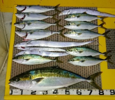 火遠理丸（ほおりまる） 釣果