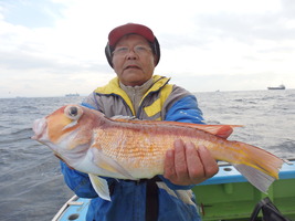久里浜黒川本家 釣果
