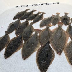 Magic(マジック) 釣果