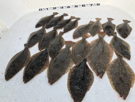 Magic(マジック) 釣果