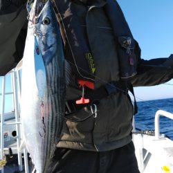 遊漁船 新鋭丸 釣果