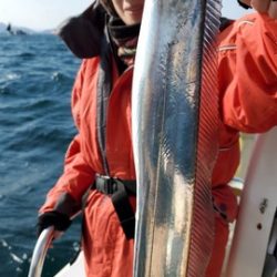 遊漁船 ニライカナイ 釣果