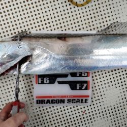 遊漁船 ニライカナイ 釣果