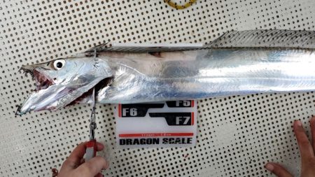 遊漁船 ニライカナイ 釣果