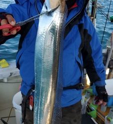 遊漁船 ニライカナイ 釣果