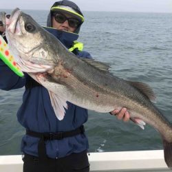 Rush(ラッシュ) 釣果