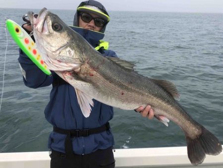 Ｒｕｓｈ（ラッシュ） 釣果