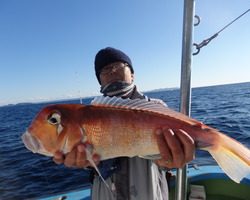 久里浜黒川本家 釣果