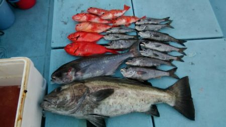 あき丸 釣果