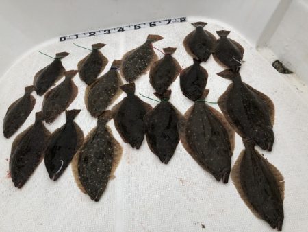 Magic（マジック） 釣果