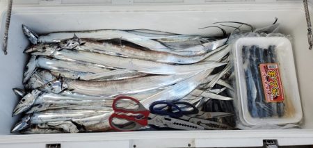 遊漁船 ニライカナイ 釣果