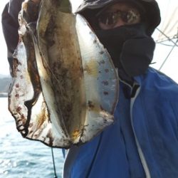 遊漁船　ニライカナイ 釣果