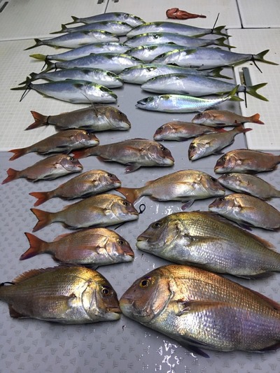 ミタチ丸 釣果
