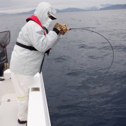 開進丸 釣果