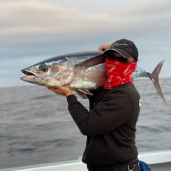 へいみつ丸 釣果