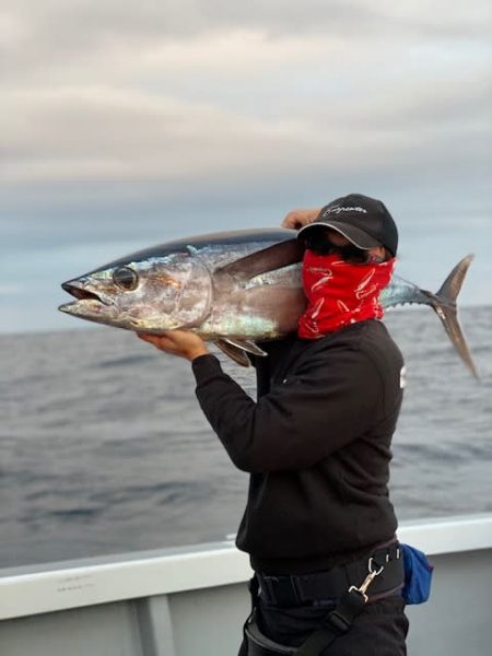 へいみつ丸 釣果