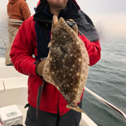 Magic（マジック） 釣果