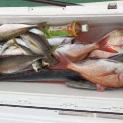 第二むつ漁丸 釣果