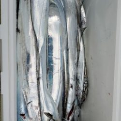 遊漁船 ニライカナイ 釣果