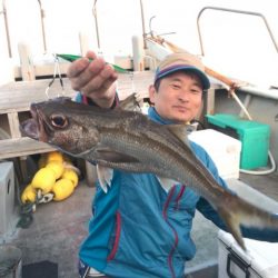 たいし丸 釣果
