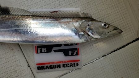 遊漁船 ニライカナイ 釣果