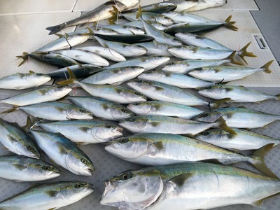 ミタチ丸 釣果