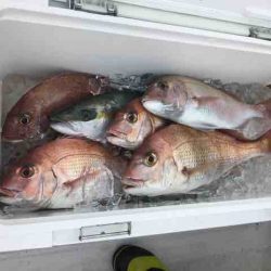 龍宮丸 釣果