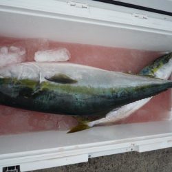 浅間丸 釣果