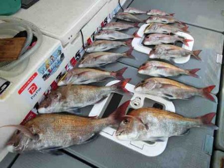 遊漁船 セトマリン 釣果