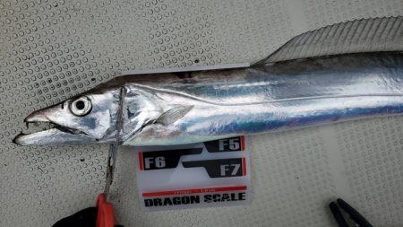 遊漁船 ニライカナイ 釣果