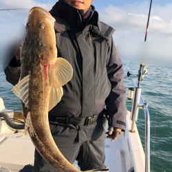 Magic(マジック) 釣果